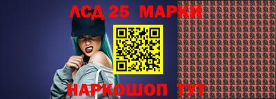 гидропоника Гатчина