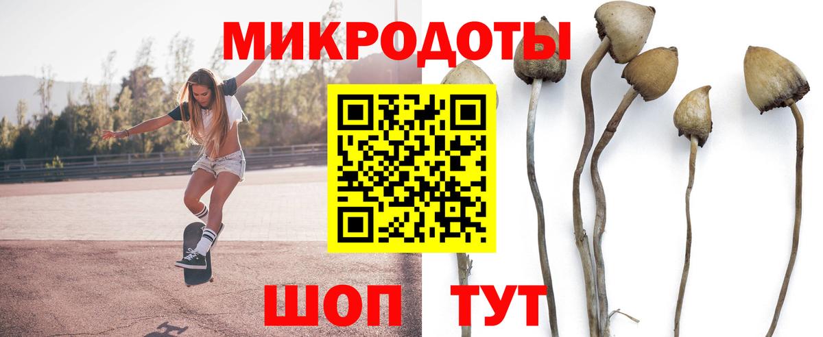 Галлюциногенные грибы мухоморы Аксай